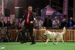 Wystawa Sindi Międzynarodowa Kielce 30.11-1.12.2024